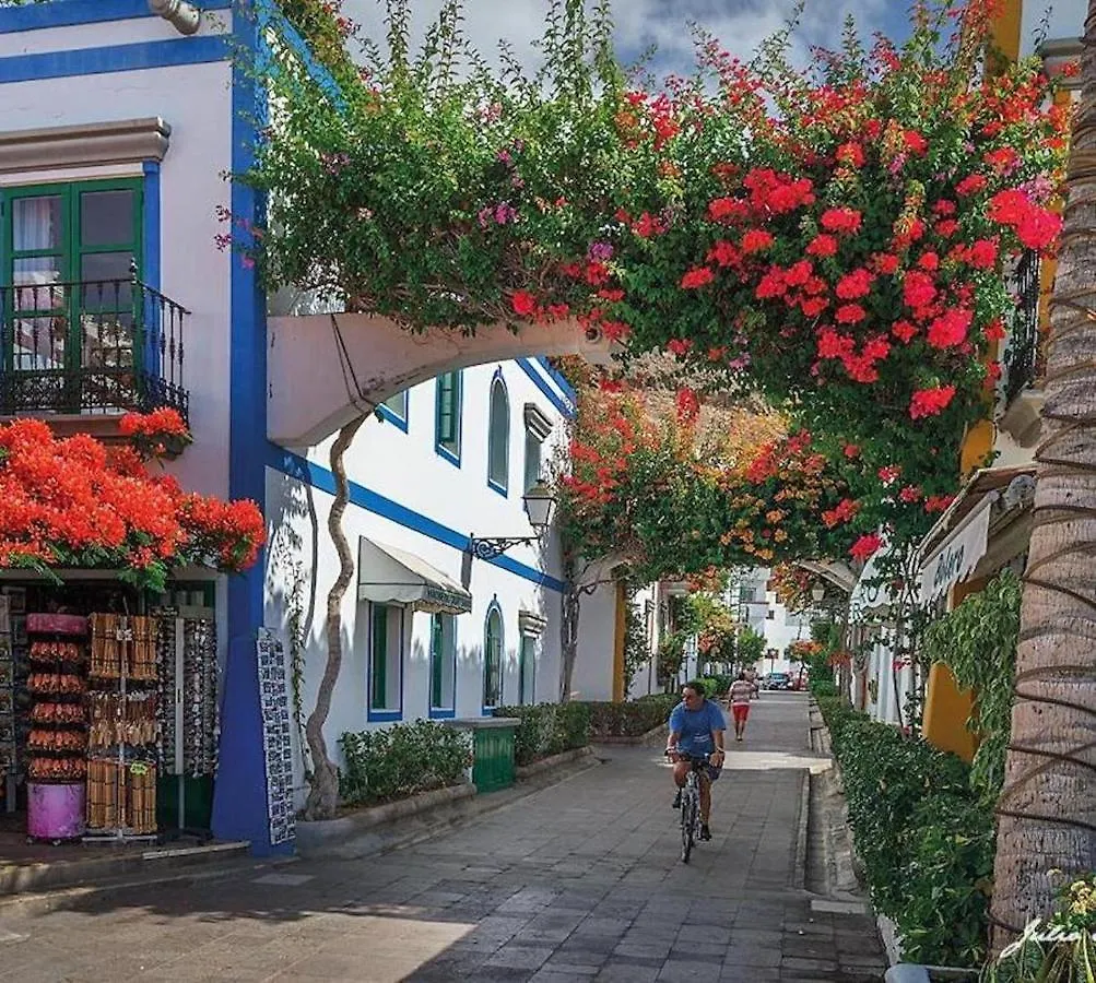 Sunny Puerto De Mogan Apartment Spain